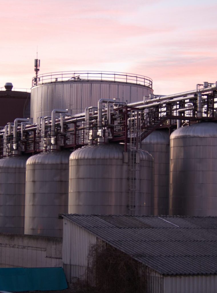 pexels-fcl-by-photofabiannicom-5411674-1536x1149